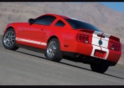 Shelby Cobra GT500 Show Car